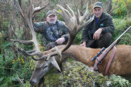 Free range red deer hunting in NZ