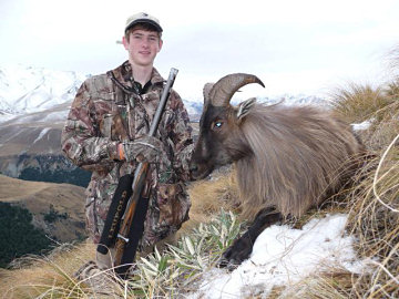 A fine tahr in the South Island high country