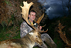 Fallow deer hunting